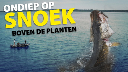 SPRO OP GROTE SNOEK BOVEN DE PLANTEN